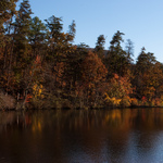 Colorful Trees Lining Cheaha Lake